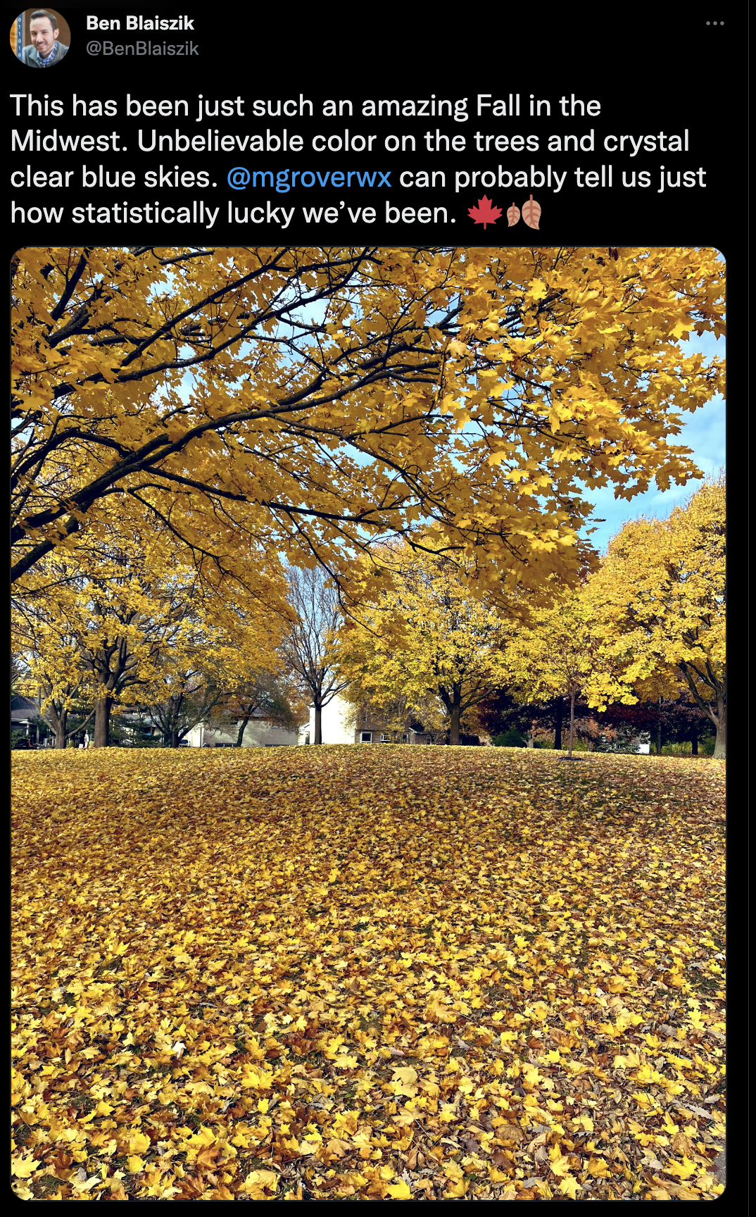 Ben fall picture